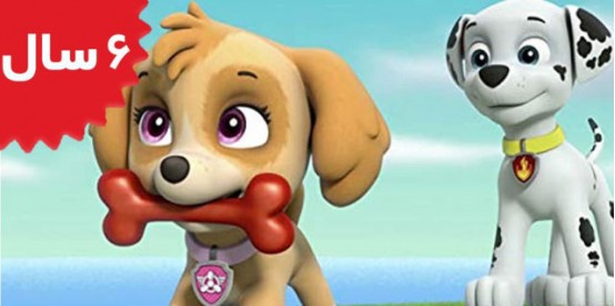 Paw Patrol. Pups Save the Kitty Rescue Crew